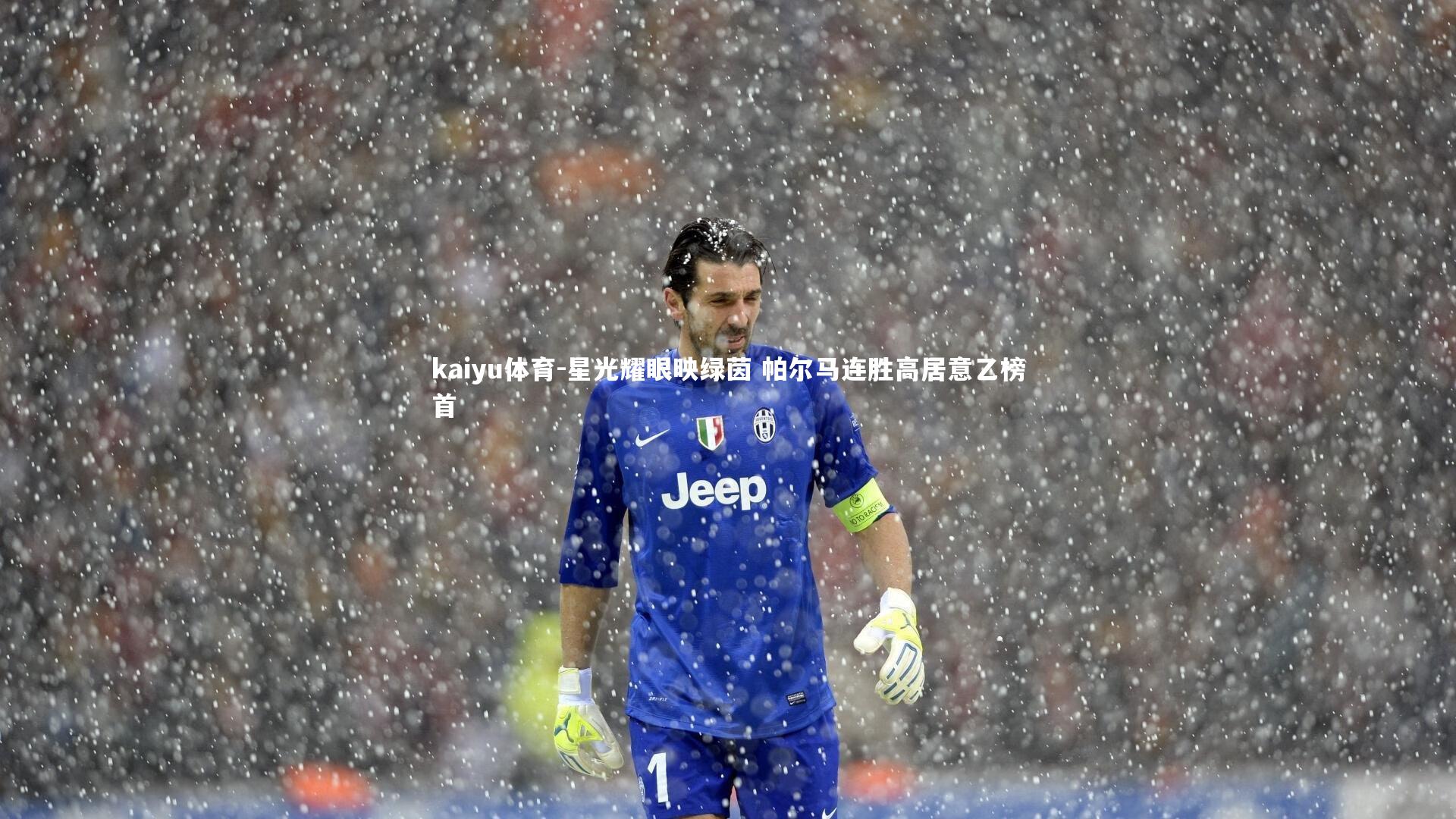 星光耀眼映绿茵 帕尔马连胜高居意乙榜首
