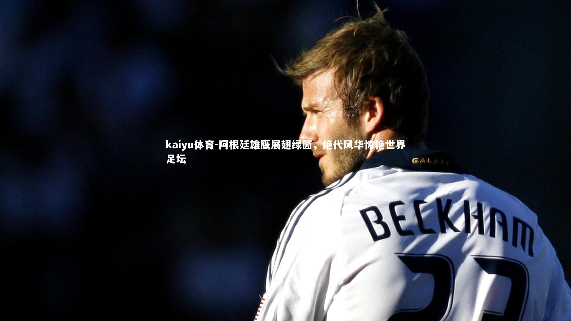 阿根廷雄鹰展翅绿茵，绝代风华惊艳世界足坛