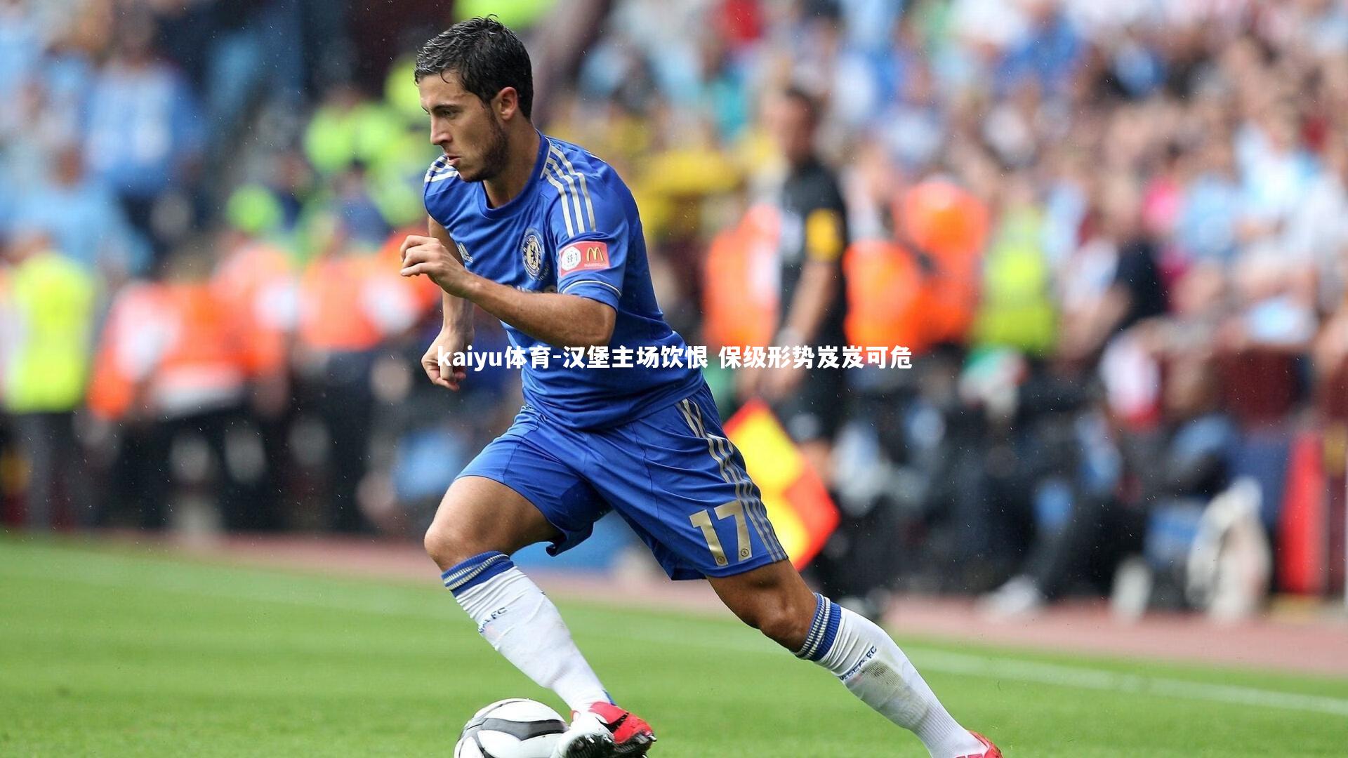 汉堡主场饮恨 保级形势岌岌可危