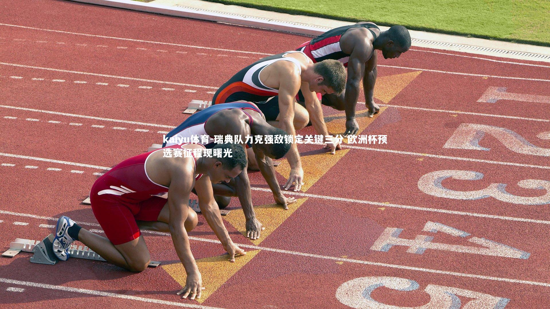 瑞典队力克强敌锁定关键三分 欧洲杯预选赛征程现曙光