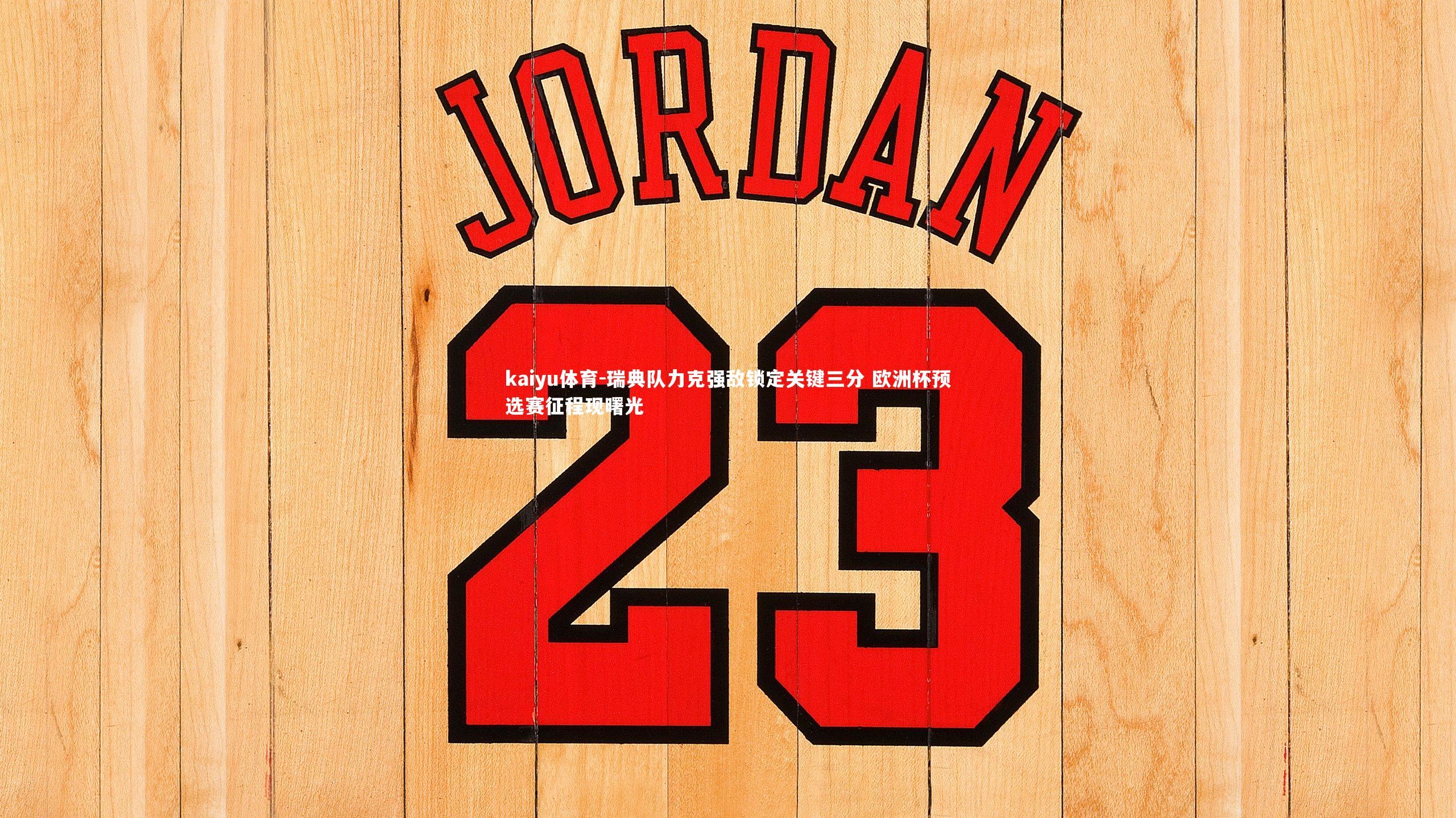 瑞典队力克强敌锁定关键三分 欧洲杯预选赛征程现曙光